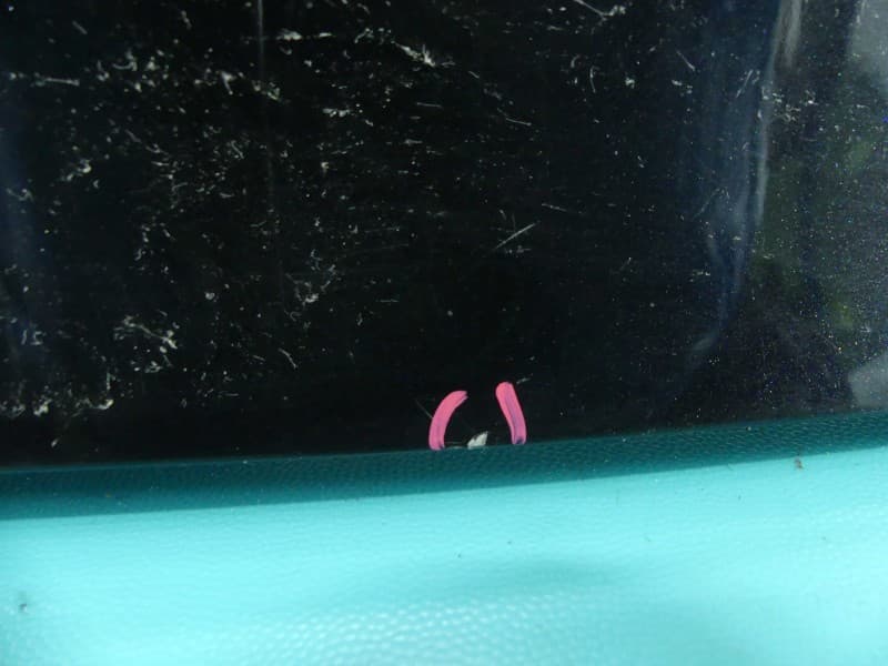 Part 6 - Additional view