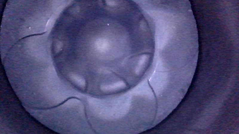 Part 19 - Additional view