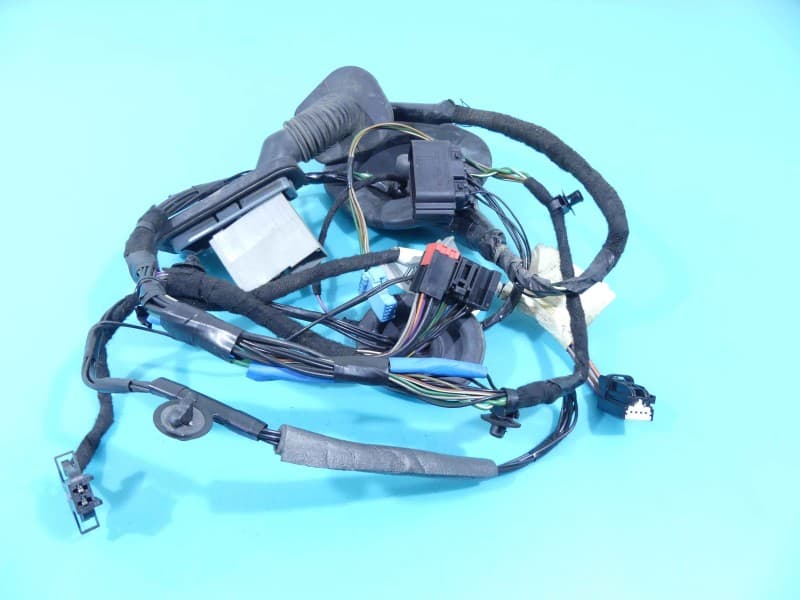 Instalacja Wiązka drzwi tył lewych Land Range Rover sport I L320 AH32-14633-BB