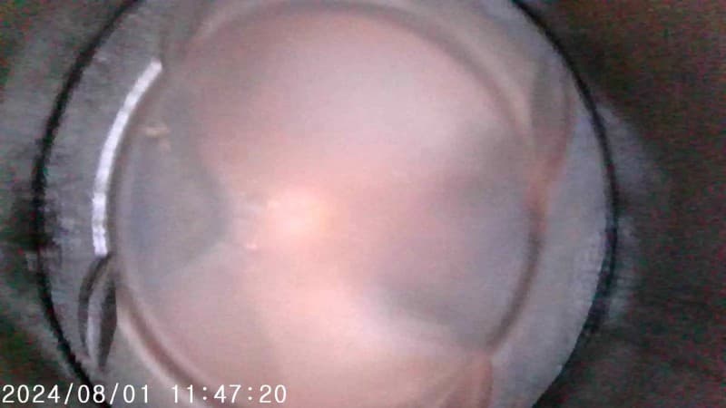 Part 19 - Additional view