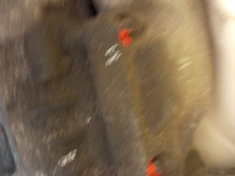 Part 7 - Additional view