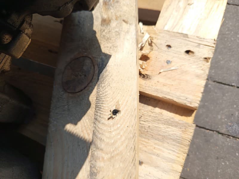 Part 50 - Additional view