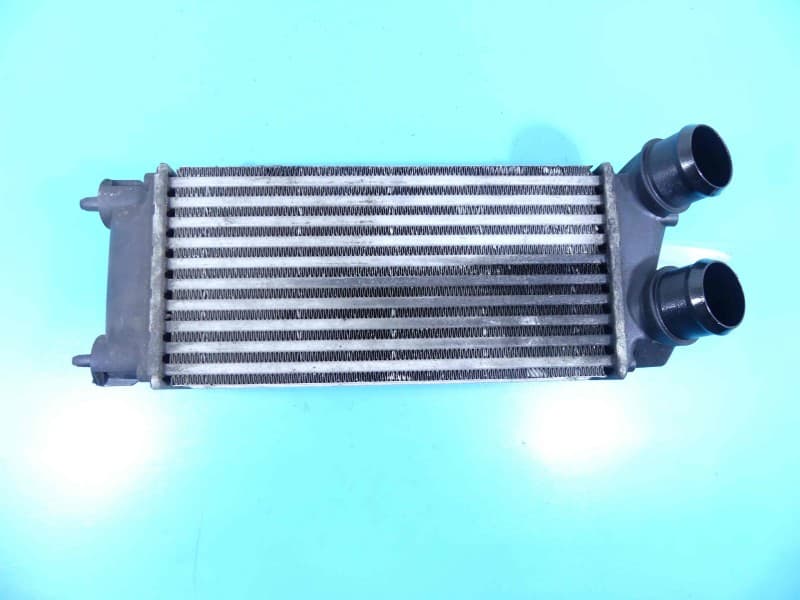 Intercooler CITROEN DS4 I 15-20 1,6 hdi 9800291280