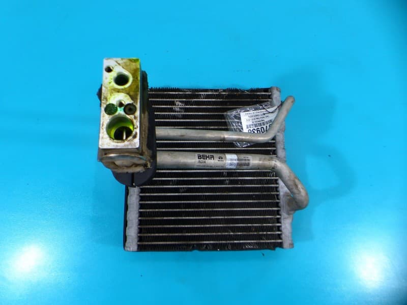 Nagrzewnica Tata Indica Vista 10-15 26719 4989004 EUROPA