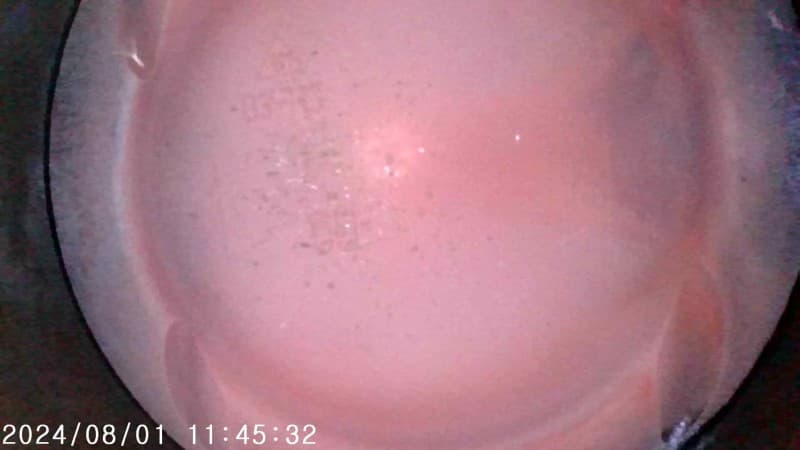 Part 15 - Additional view