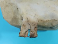 Zbiornik Zbiorniczek płynu spryskiwacza Jeep Cherokee XJ