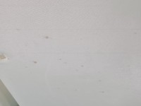 Podsufitka Volvo S90 II 16- sedan