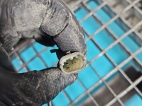 Amortyzator tył lewy Opel Astra IV J HB tylny