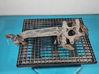 Piasta koła tył lewa zwrotnica łożysko Chevrolet Captiva 2.2 VCDI