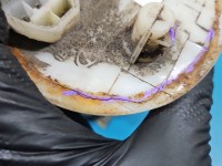 pompka Pompa paliwa Hyundai Getz 1.3 12v 31110-1C000 Hyundai, Uszkodzona obudowa i króciec