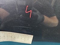 Drzwi tył lewe Renault Clio III HB 5d TEB66