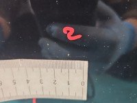 DRZWI PRZÓD LEWE KIEROWCY Toyota Avensis III T27 5d czarny 209