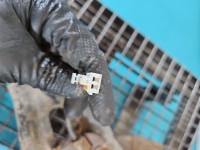 Piasta koła tył lewa zwrotnica łożysko Kia Sportage III 10-15 1.6 GDI (G4FD)