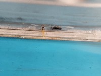 Klapa tył Citroen C-Elysee II 12- sedan 4d srebrny EZRC