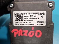 Kamera przód radar Peugeot 3008 II 9835221380