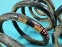 Sprężyny tył komplet Vw Transporter T4 inny