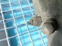 Skrzynia biegów 26902610 Tata Indigo Marina 1.4 MPFI