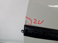 DRZWI PRZÓD LEWE KIEROWCY BYD ATTO 2 II 5d X
