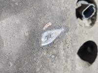 Skrzynia biegów 20DL66 Citroen Xsara Picasso 1.6 8V wiel