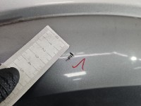 Błotnik przód prawy Ford Freestyle Taurus X beżowy PNUPL0 - Silver Birch Metallic