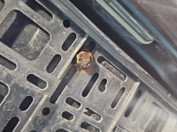 Klapa tył Toyota Avensis II T25 kombi 5d 209