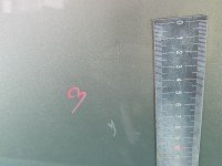 DRZWI PRZÓD LEWE KIEROWCY Citroen C3 II 09-16 5d beżowy kch