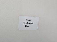 DRZWI PRZÓD PRAWE PASAŻERA Fiat Stilo 3d grafitowy 675