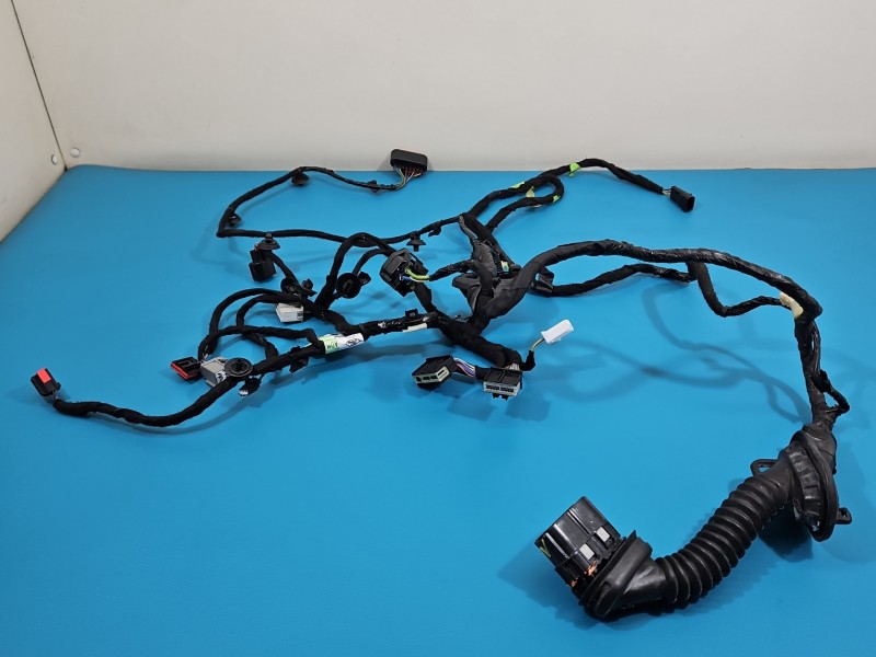 Instalacja Wiązka drzwi przód lewych Ford Edge II