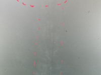 Maska przednia LEXUS RX II 03-08 4R4