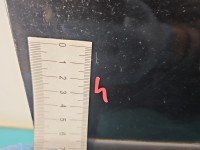 DRZWI PRZÓD PRAWE PASAŻERA Ford Fiesta Mk6 5d czarny D2