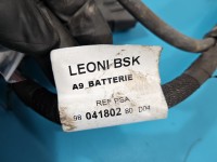 KLEMA INSTALACJA WIĄZKA PLUSOWA PLUS Citroen C4 Cactus 14-20 9804180280