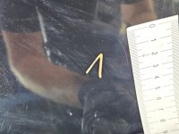 Maska przednia Kia Sportage II 04-10 czarny 9P