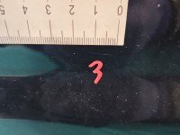 DRZWI PRZÓD PRAWE PASAŻERA Opel Antara 5d czarny GAR