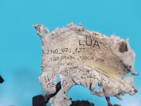 Wiązka instalacja Volkswagen, czujnika uderzeniowego z pasa przedniego Vw Sharan II 10- 7N0971677