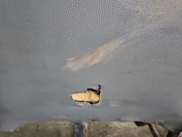 Fotel tył lewy II rząd tylny Vw Transporter T5 2 rząd