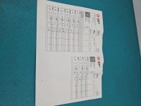 TESTOWANY Wtryskiwacz Hyundai Matrix 0445110223, 33800-2A110 1.5 crdi