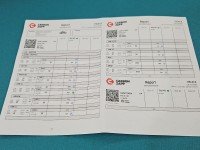 TESTOWANY Wtryskiwacz Land rover Discovery Sport 14- L550 0445110654 2.0 Td (204DTD)