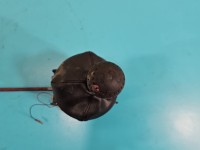 DŹWIGNIA LEWAREK WYBIERAK LINKI Ligier Ambra 0.5d