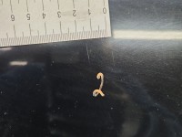 Maska przednia Audi A4 B7 LZ9Y