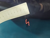 Drzwi tył lewe Peugeot 508 II 18- HB 5d EKU