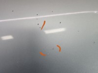 Maska przednia Citroen C4 I EYLC