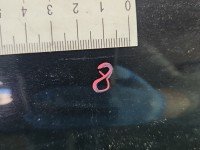 DRZWI PRZÓD PRAWE PASAŻERA Opel Signum 5d czarny