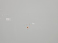 Drzwi tył prawe Ford S-max II MK2 HB 5d biały 5F