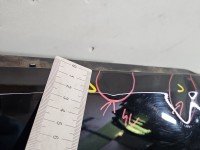 Błotnik przód prawy BMW F20 czarny 668