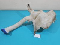 Zbiornik Zbiorniczek płynu spryskiwacza Ford Mondeo Mk5