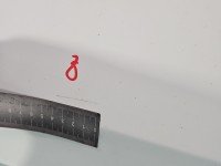 Drzwi przód prawe HYUNDAI i20 II 14-20 5d biały POLAR WHITE BMS
