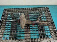 Amortyzator przód prawy przedni Toyota Rav4 II 00-