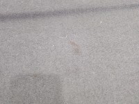 Półka tylna tył bagażnika Renault Megane III