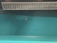 DRZWI PRZÓD LEWE KIEROWCY Mitsubishi Lancer VIII 5d szary A39