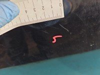 DRZWI PRZÓD PRAWE PASAŻERA Citroen C5 II X7 4d KTVD